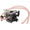 Carburateur BRIGGS & STRATTON 311392GS