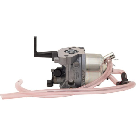 Carburateur BRIGGS & STRATTON 311392GS