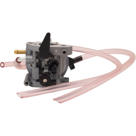 Carburateur BRIGGS & STRATTON 311392GS