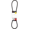 Courroie MURRAY 313851MA