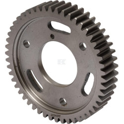 Engrenage RAICO 3116K111N
