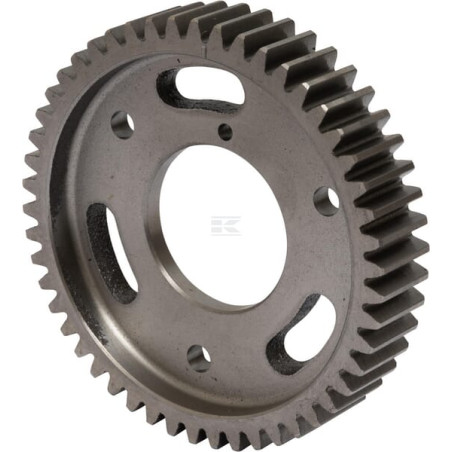 Engrenage RAICO 3116K111N