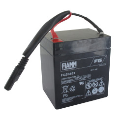 Batterie 12v 4,5a CASTELGARDEN - GGP 118120064/0