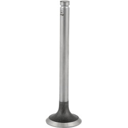 Exhaust valve KORURS 31431881N