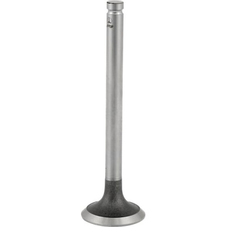 Exhaust valve KORURS 31431881N