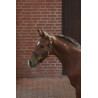 Licol poulain KERBL 3224748