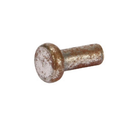 Rive ESM 3232020
