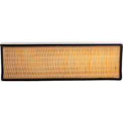 Filtre LANDINI 3302666M92