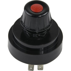 Interrupteur RAICO 3300530M91N