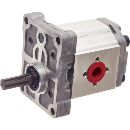 Pompe LANDINI 3300930M91
