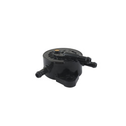 Pompe à essence BRIGGS ET STRATTON 808656