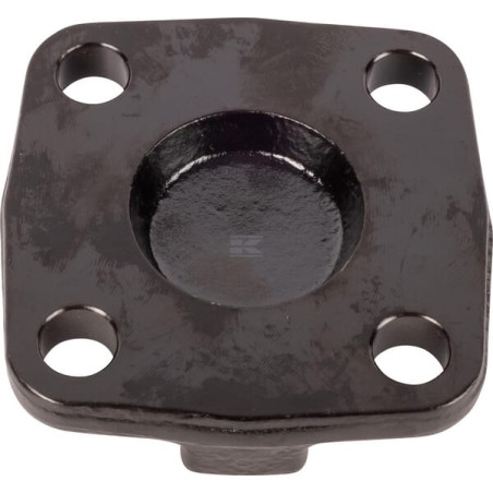 Couvercle SPICER DANA 3427197M1N