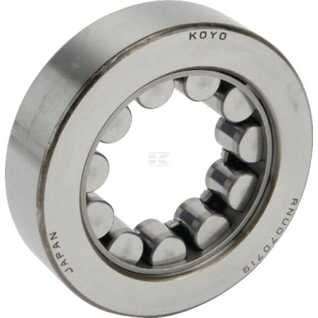 Roulement MASSEY FERGUSON (AGCO) 3382265M1