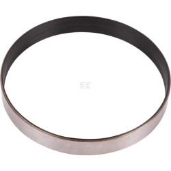 Bague SPICER DANA 3429168M1N