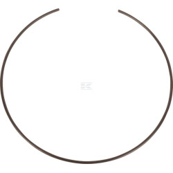 Circlip SPICER DANA 3428523M1N