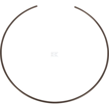 Circlip SPICER DANA 3428523M1N