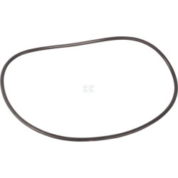 Bague AGCO 3384524M1