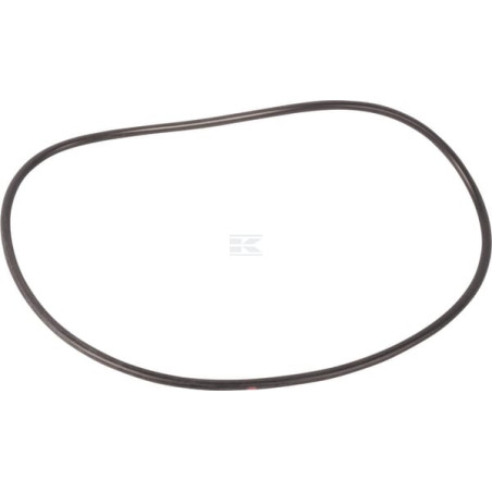 Bague AGCO 3384524M1