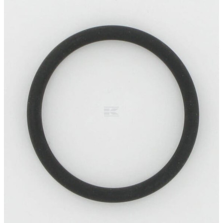 Joint torique CNH 352004R1