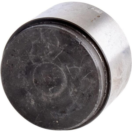 Piston LANDINI 3549352M1