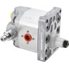 Pompe LANDINI 3540970M91
