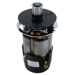 Moteur électrique WOLF-GARTEN 3615916
