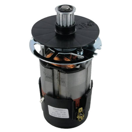 Moteur électrique WOLF-GARTEN 3615916