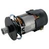 Moteur électrique WOLF-GARTEN 3615916