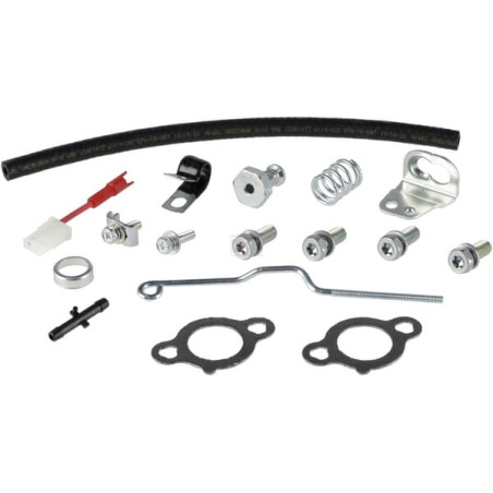 Moteur BRIGGS & STRATTON 3564470048G1