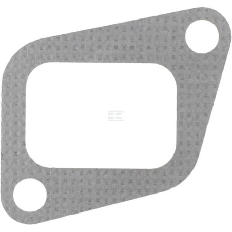 Exhaust manifold TEDEL 36862134N