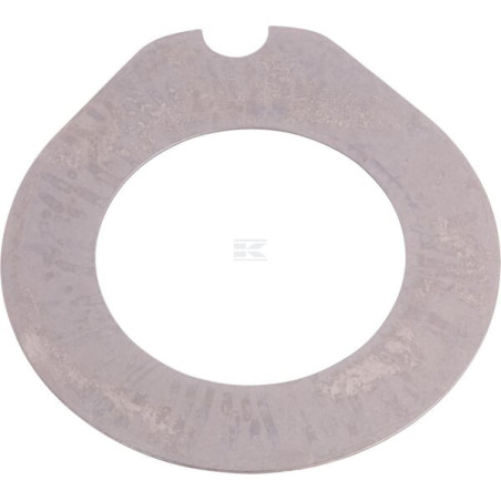 Disque LANDINI 3676724M1