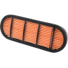 Filtre LANDINI 3695442M92