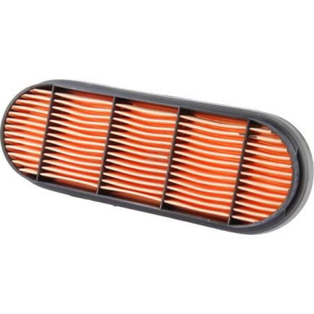 Filtre LANDINI 3695442M92