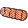 Filtre LANDINI 3695442M92
