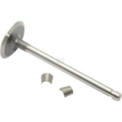 Soupape d'admission BRIGGS & STRATTON 394435