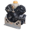 Pompe BERTOLINI 401000973VD