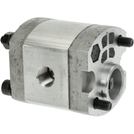 Pompe AL-KO 411053