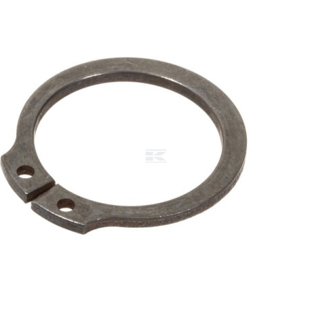Bague AGCO 395565X1