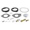Kit BRIGGS & STRATTON 394698