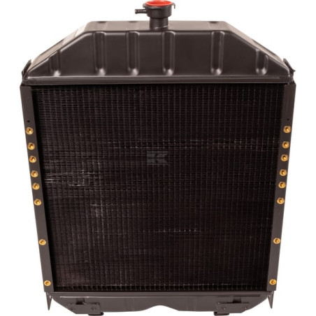 Radiateur RAICO 3666234M91N