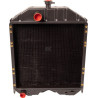 Radiateur RAICO 3666234M91N