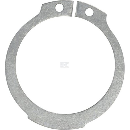 Bague AGCO 392758X1