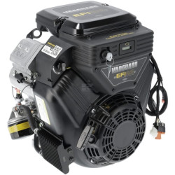 Moteur BRIGGS & STRATTON 38E3470018G1