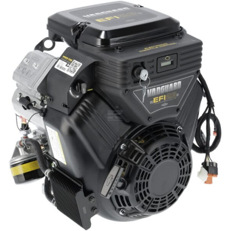 Moteur BRIGGS & STRATTON 38E3470018G1