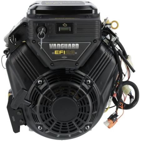 Moteur BRIGGS & STRATTON 38E3470018G1