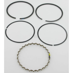 Segments KOHLER 4110801S