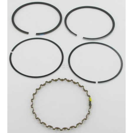 Segments KOHLER 4110801S