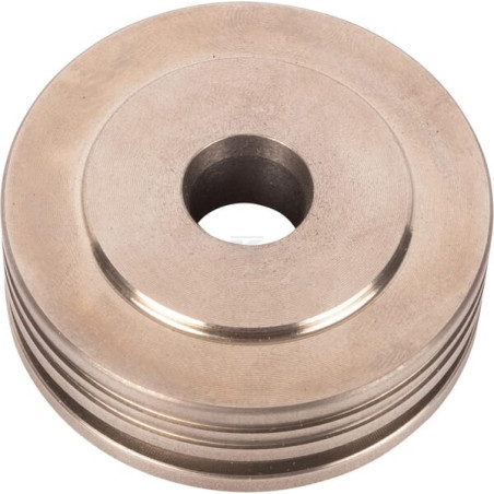Piston LANDINI 3651093M2