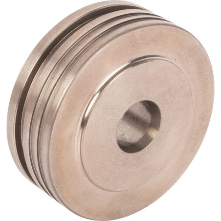 Piston LANDINI 3651093M2