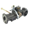 Carburateur BRIGGS ET STRATTON 299437